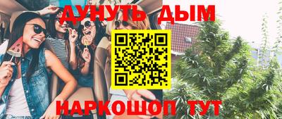индика Чапаевск
