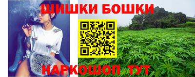 индика Чапаевск