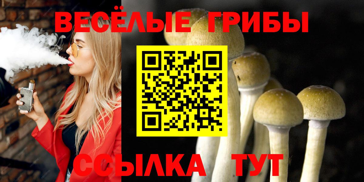 Волгоград  Галлюциногенные грибы прущие грибы  Вход с VPN  Галлюциногенные грибы Cubensis 