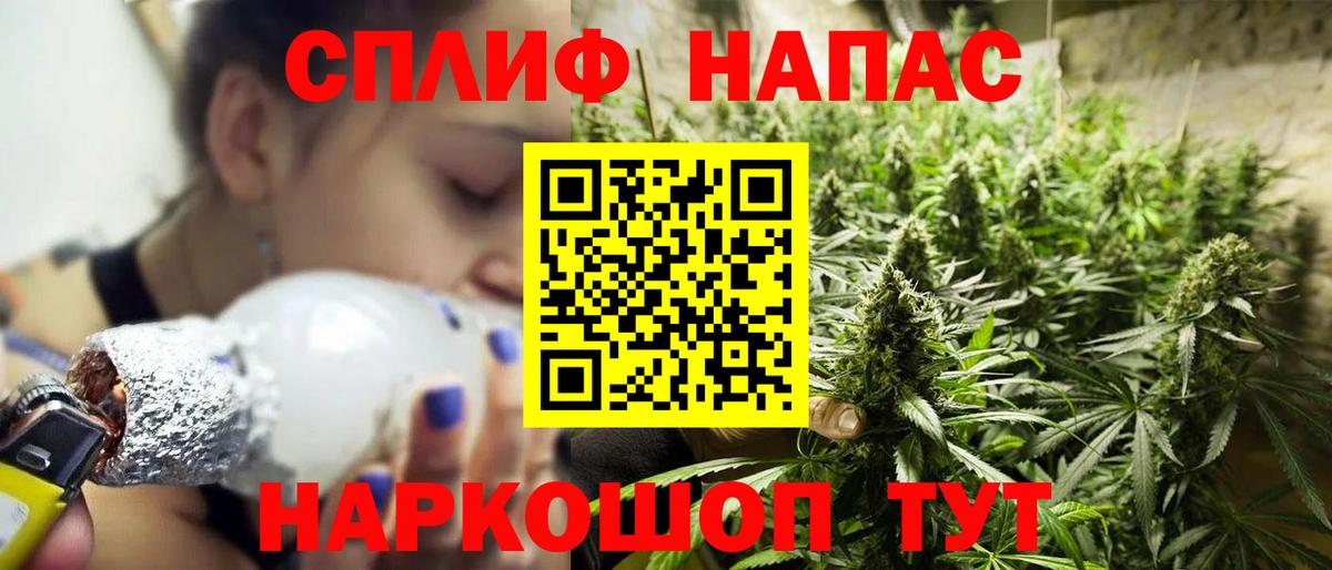 Бошки Шишки гибрид Волгоград